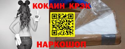 гашик Кингисепп