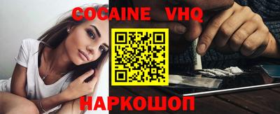 гашик Кингисепп