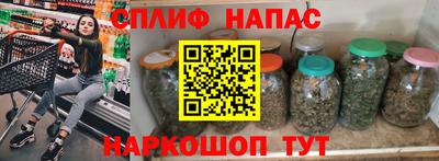 гашик Кингисепп