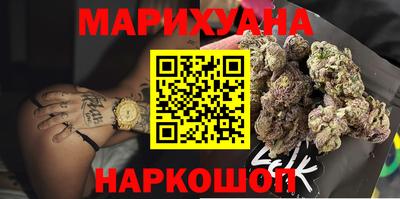 гашик Кингисепп
