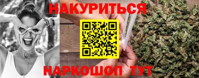 гашик Кингисепп