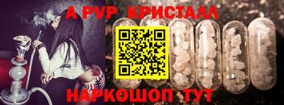 гашик Кингисепп
