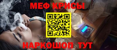 гашик Кингисепп
