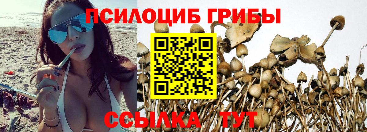 Ялта  Псилоцибиновые грибы MAGIC MUSHROOMS  купить наркотик  Вход с VPN 
