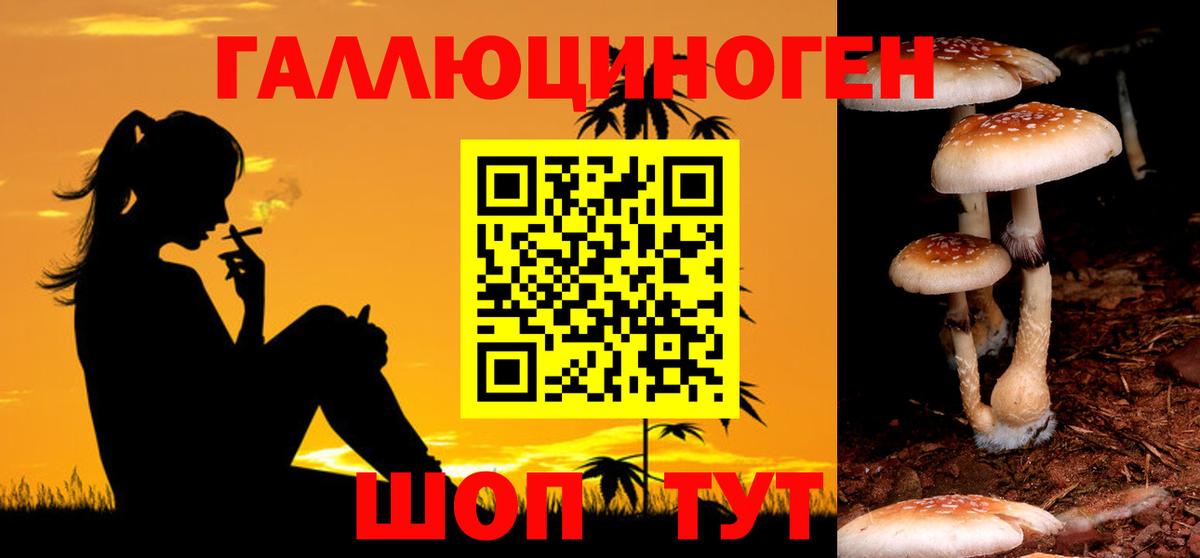 Псилоцибиновые грибы прущие грибы Ялта